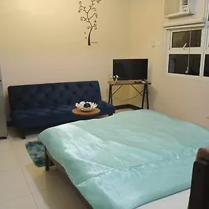 Apartment 101 Furnished Walking Distance Niaa 3, Manila